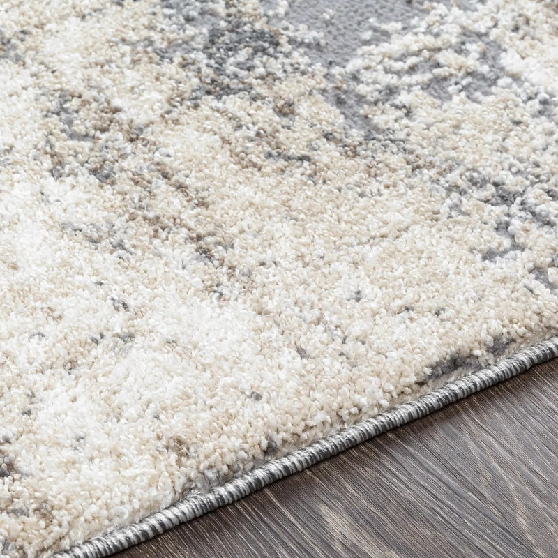 Vesper Textured Plush Area Rug by Boutique Rugs