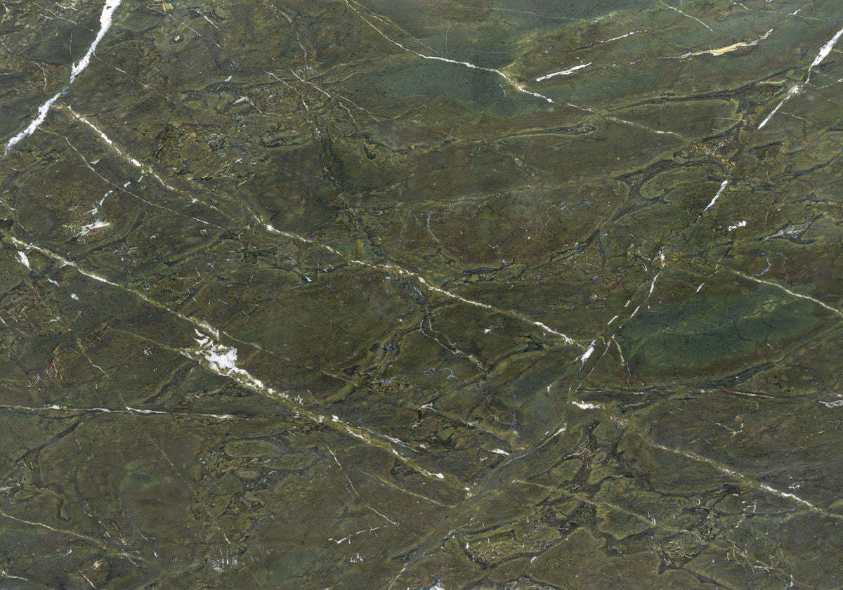Vitoria Regia Polished Granite Slab Random