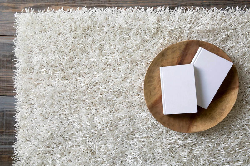 Browder Solid Beige Shag Area Rug - Clearance by Boutique Rugs