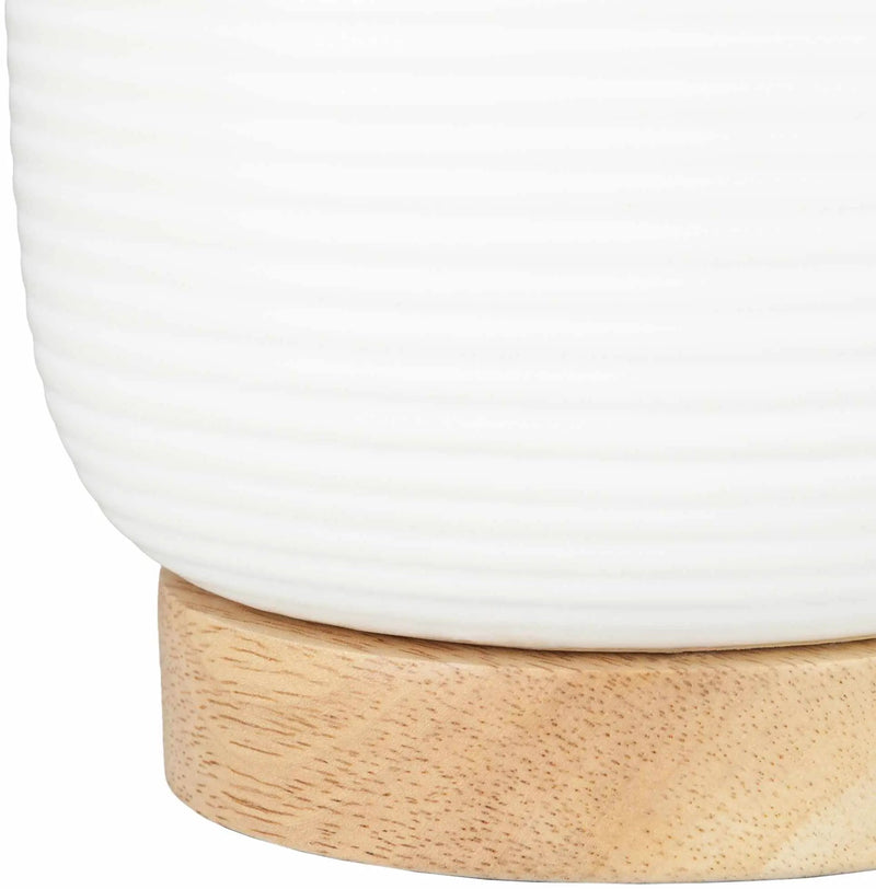 Evangelista Table Lamp - Clearance by Boutique Rugs