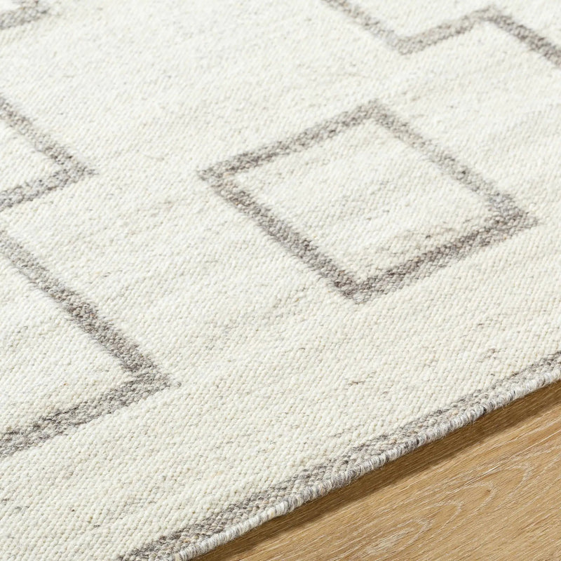 Vanig Area Rug by Boutique Rugs