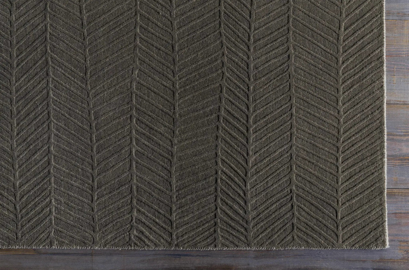 Everson Carpet Area Rug - Clearance by Boutique Rugs