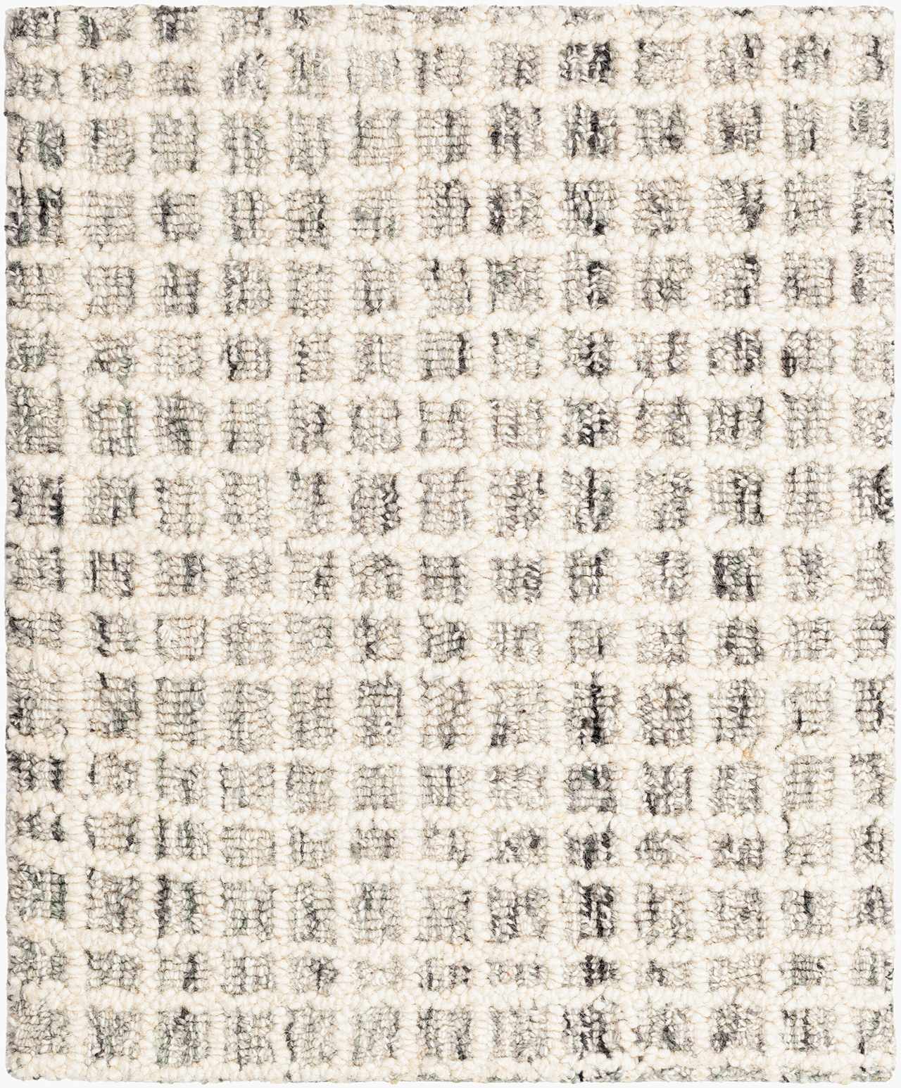 Anahid Beige Area Rug by Boutique Rugs