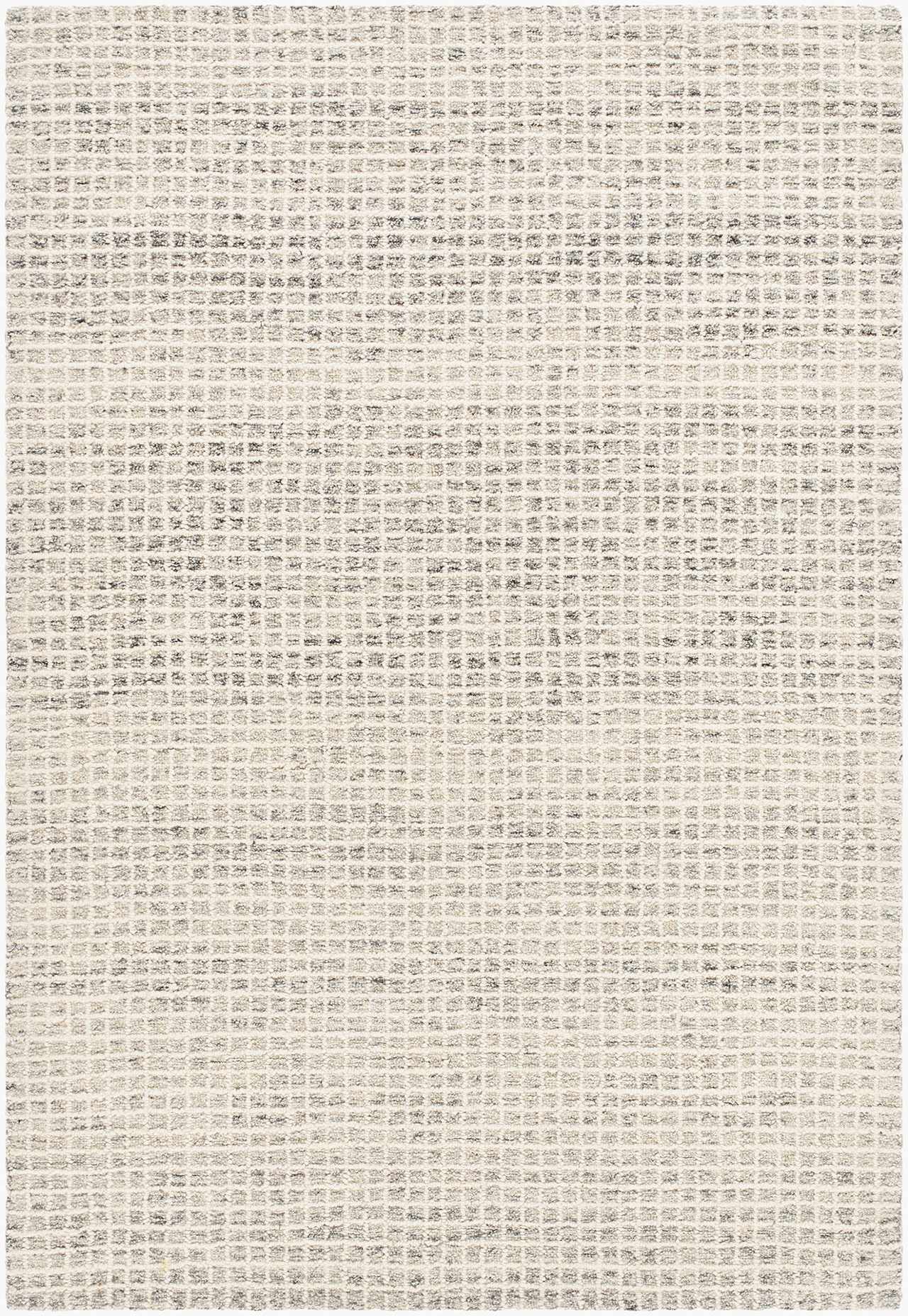 Anahid Beige Area Rug by Boutique Rugs