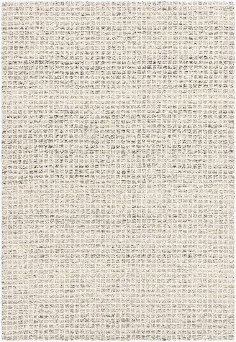 Anahid Beige Area Rug by Boutique Rugs