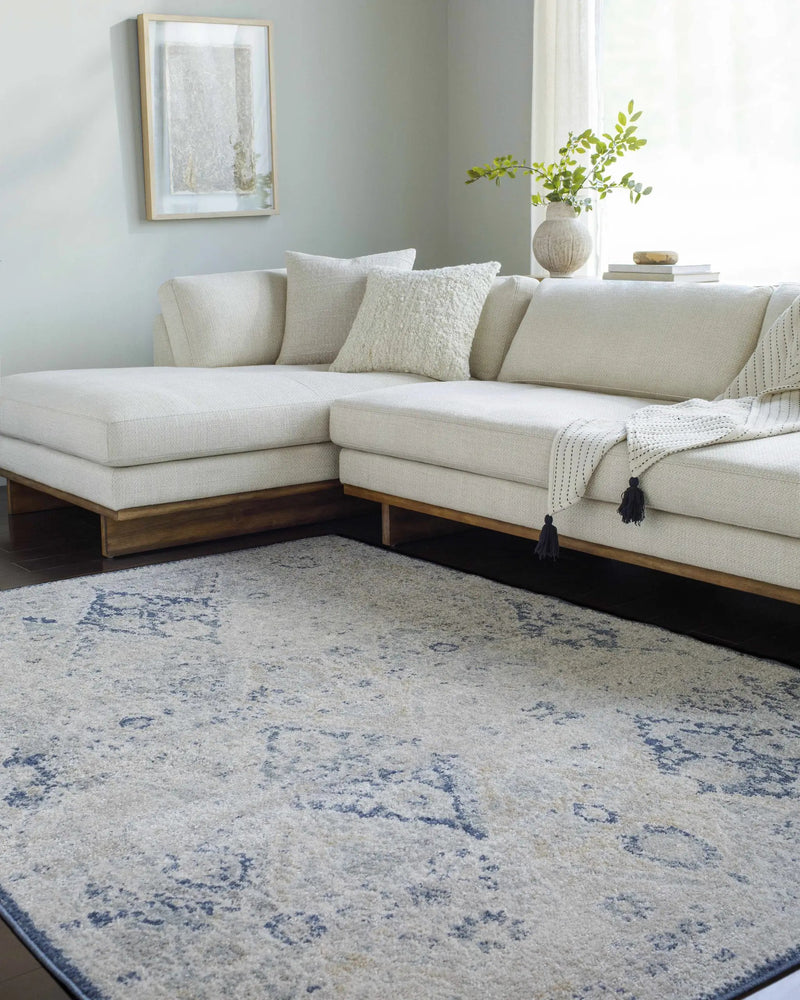 Valin Area Rug - Clearance by Boutique Rugs