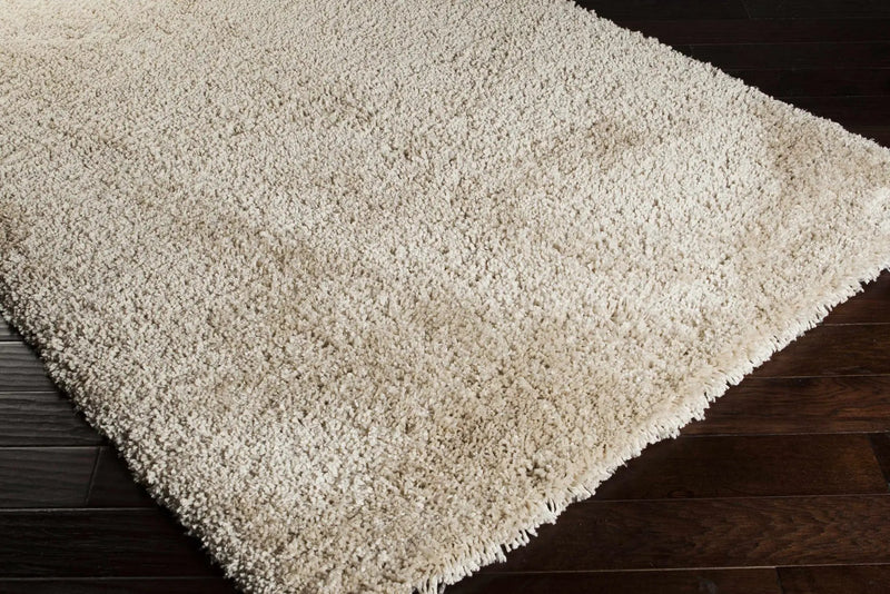 Wakeeney Beige Shag Rug - Clearance by Boutique Rugs