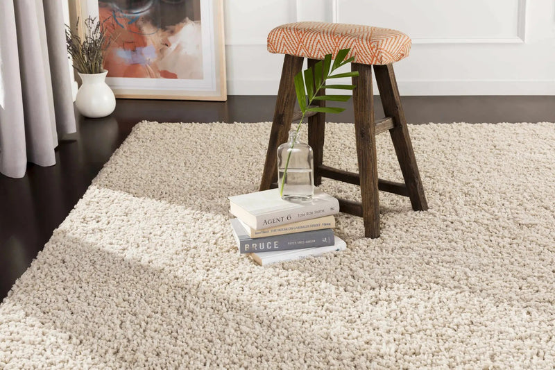 Wakeeney Beige Shag Rug - Clearance by Boutique Rugs