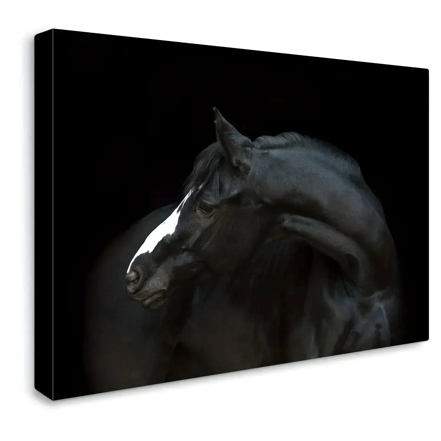Wall Art - Poignant Canvas Various Sizes by House Of Avana