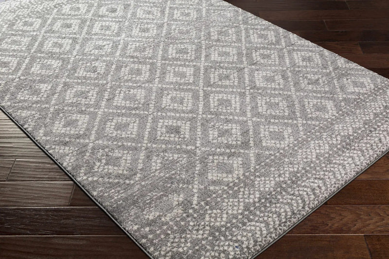 Webb Area Rug - Clearance by Boutique Rugs