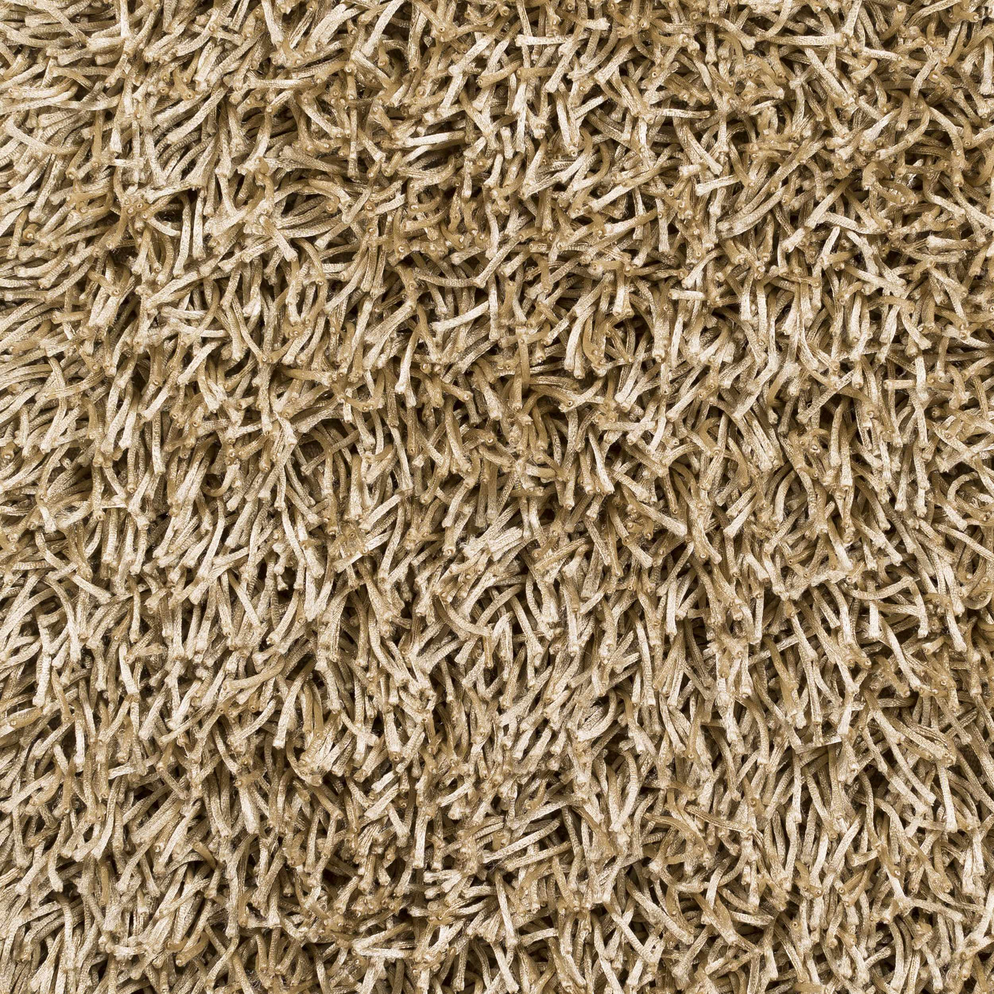 Browder Solid Beige Shag Area Rug - Clearance by Boutique Rugs