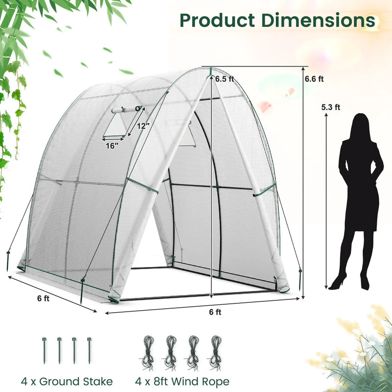 6 x 6 x 6.6 FT Outdoor Wall-in Tunnel Greenhouse by DirectDeals