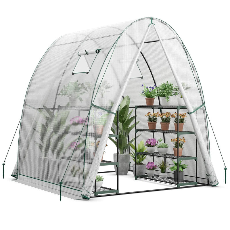 6 x 6 x 6.6 FT Outdoor Wall-in Tunnel Greenhouse by DirectDeals