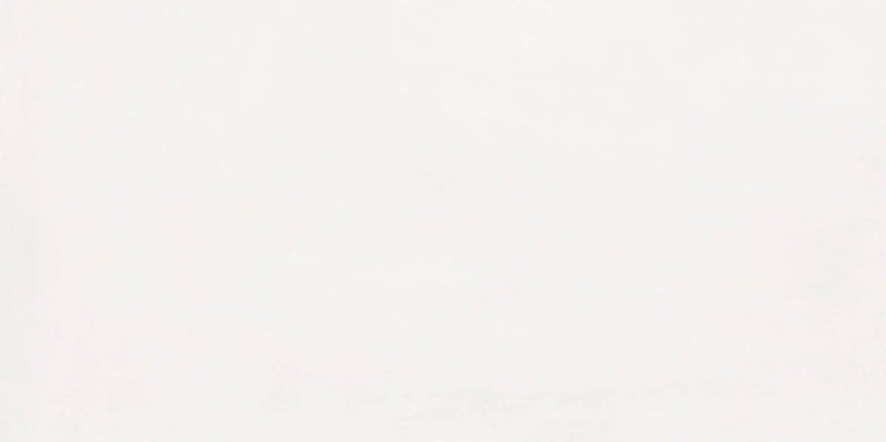 New York White Concrete Look Porcelain Tiles 12x24 by landmarkceramics