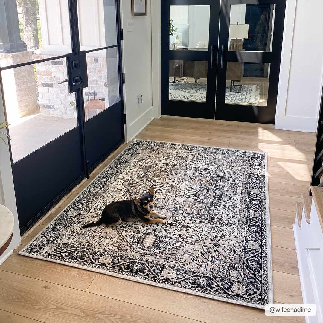 Cabacungan Washable Area Rug by Boutique Rugs