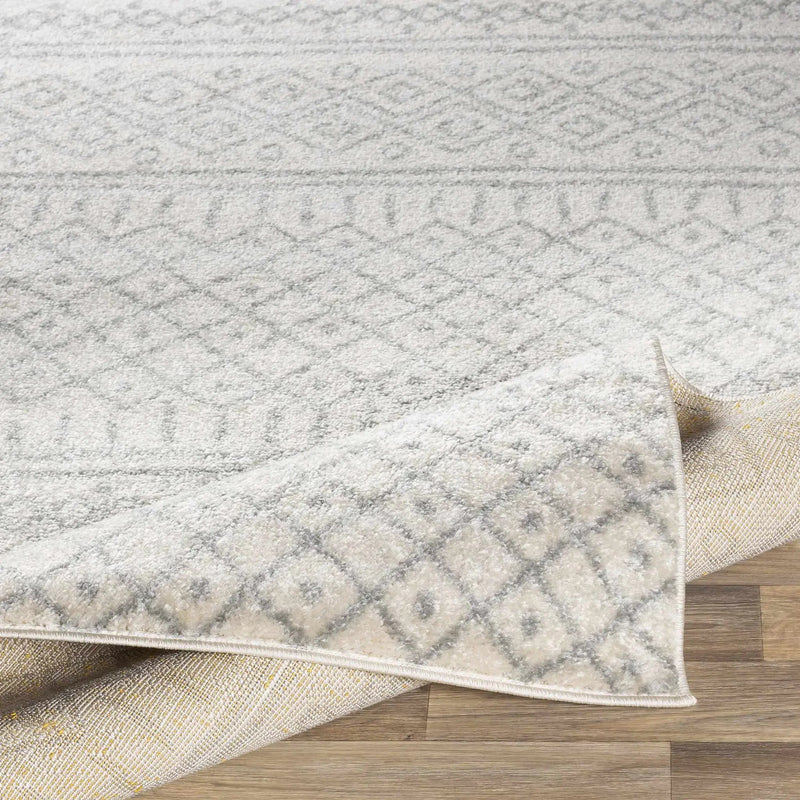 Winston Area Rug - Clearance by Boutique Rugs