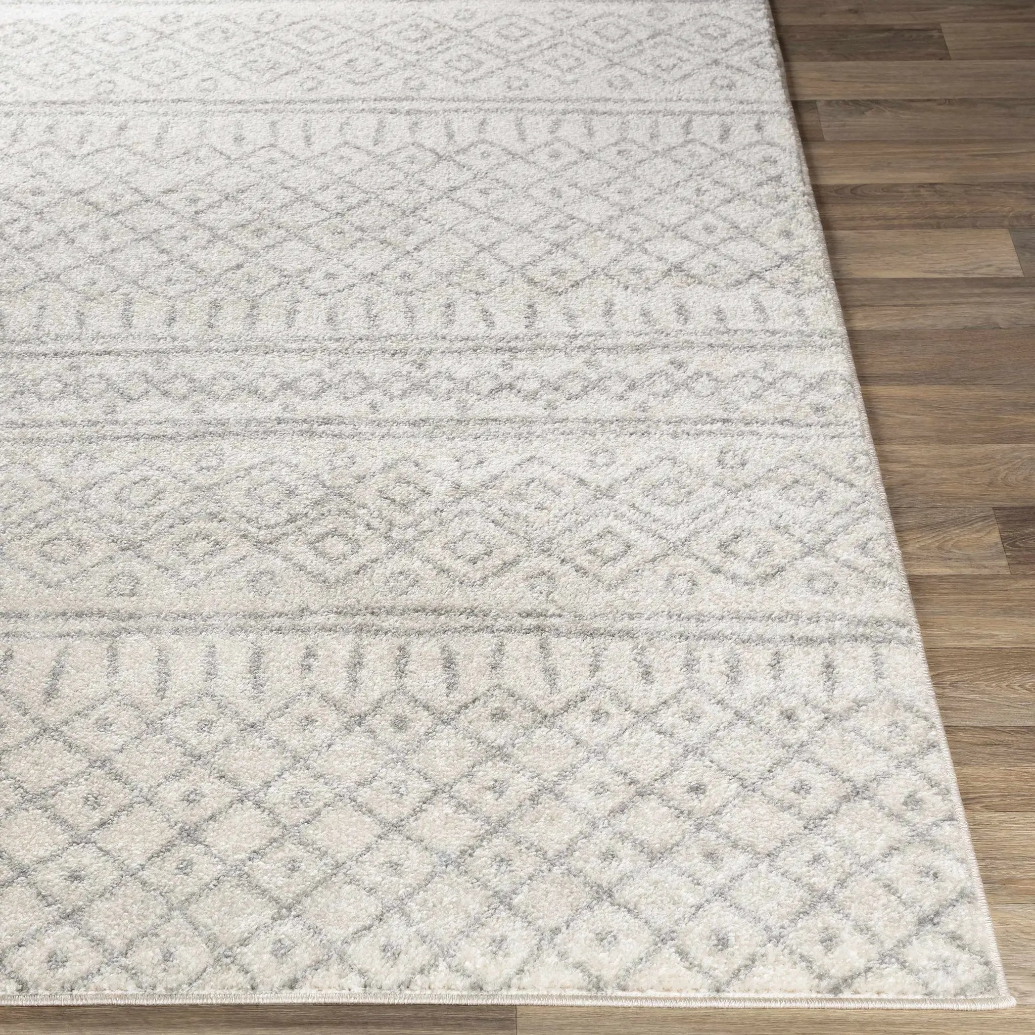 Winston Area Rug - Clearance by Boutique Rugs