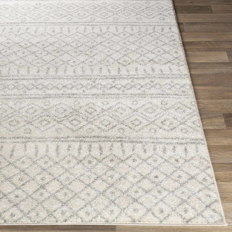 Winston Area Rug - Clearance by Boutique Rugs