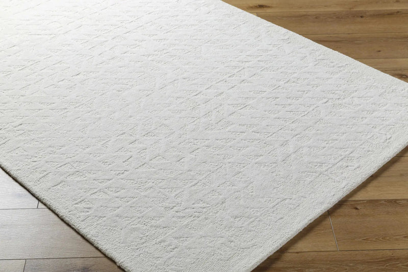 Xenon Area Rug by Boutique Rugs
