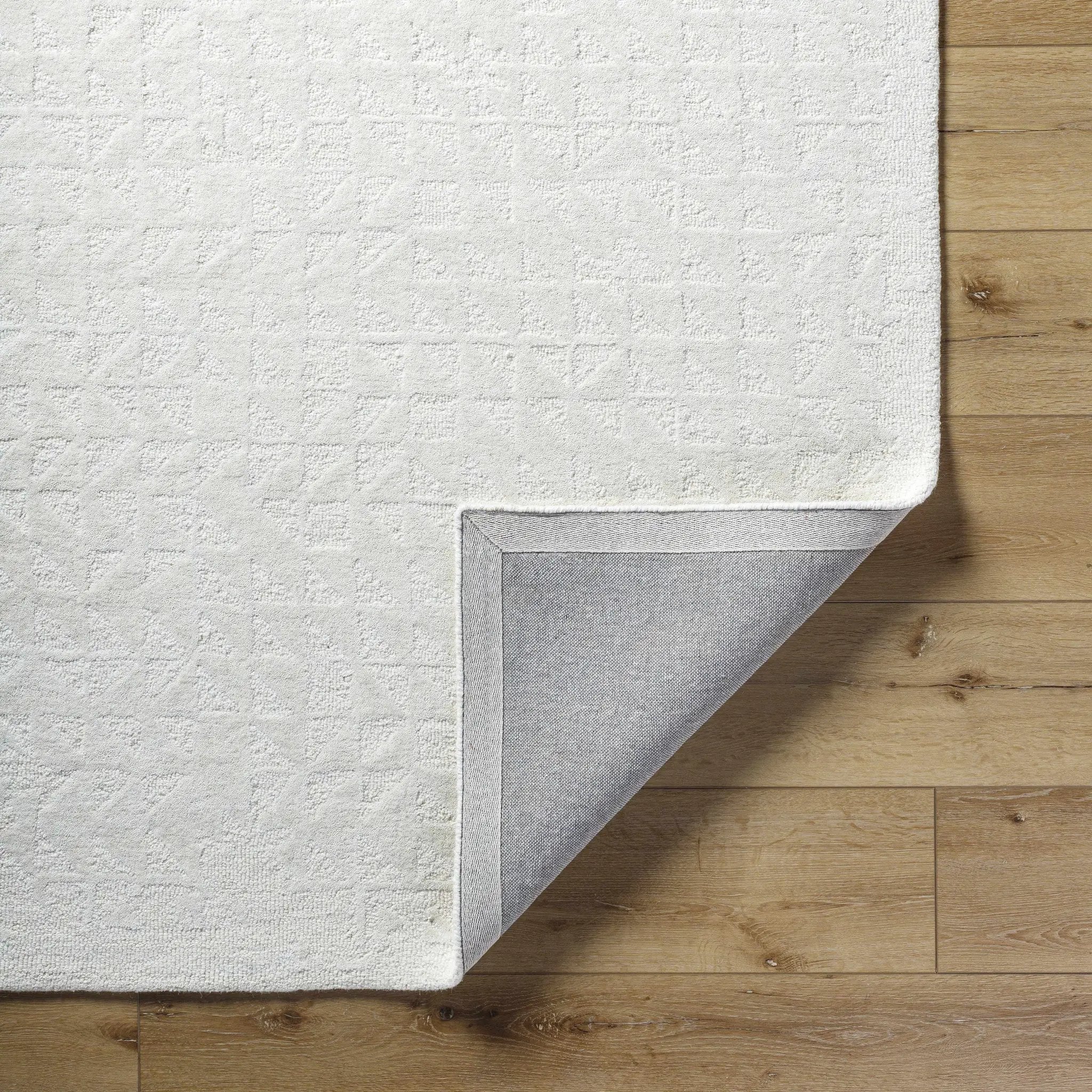 Xenon Area Rug by Boutique Rugs