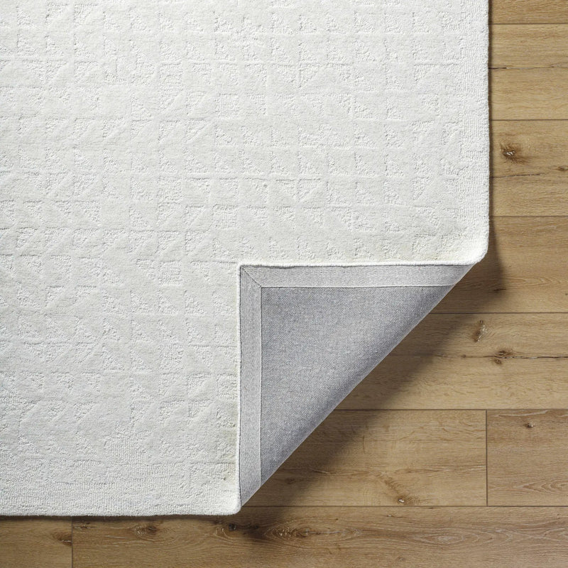 Xenon Area Rug by Boutique Rugs