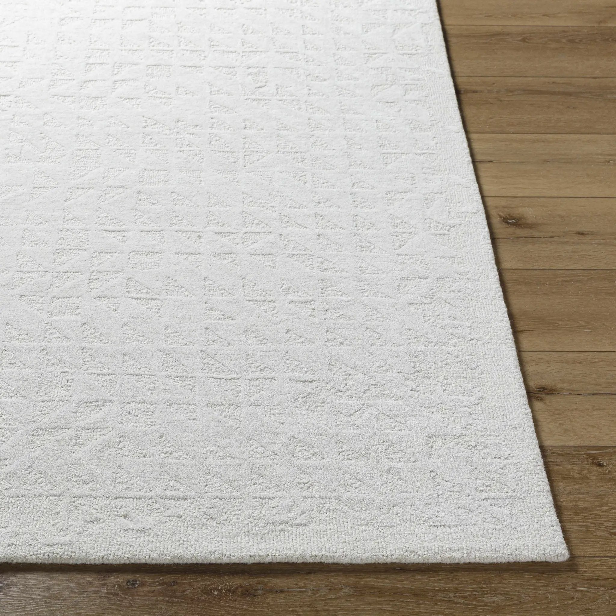 Xenon Area Rug by Boutique Rugs
