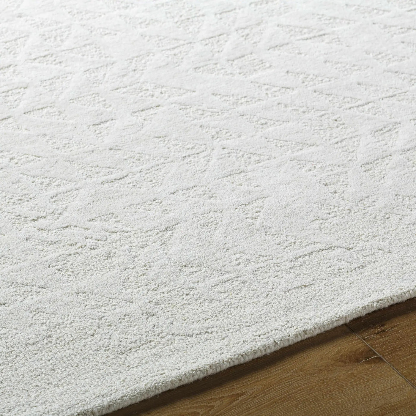 Xenon Area Rug by Boutique Rugs