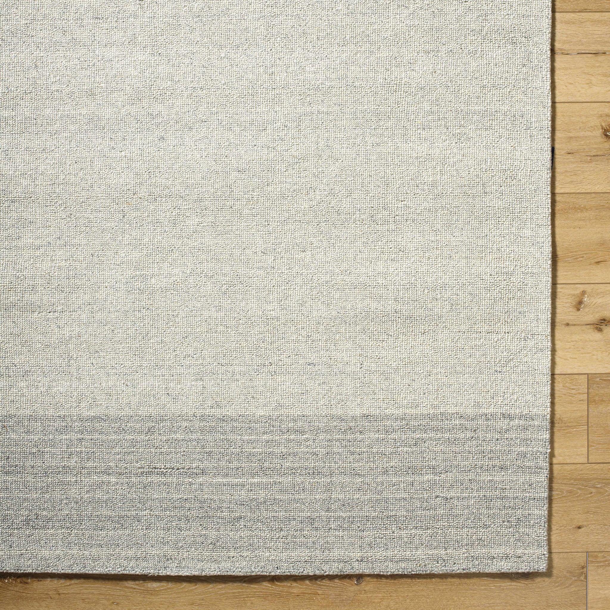 Xiola Area Rug - Clearance by Boutique Rugs