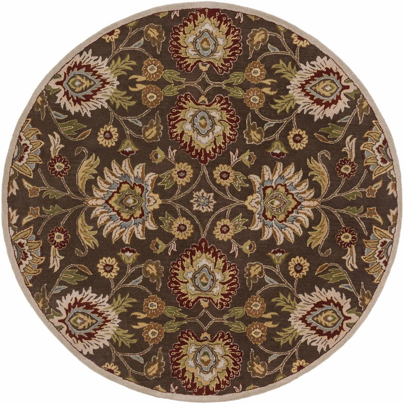 Conesus Hand Tufted Brown 1051 Area Rug by Boutique Rugs