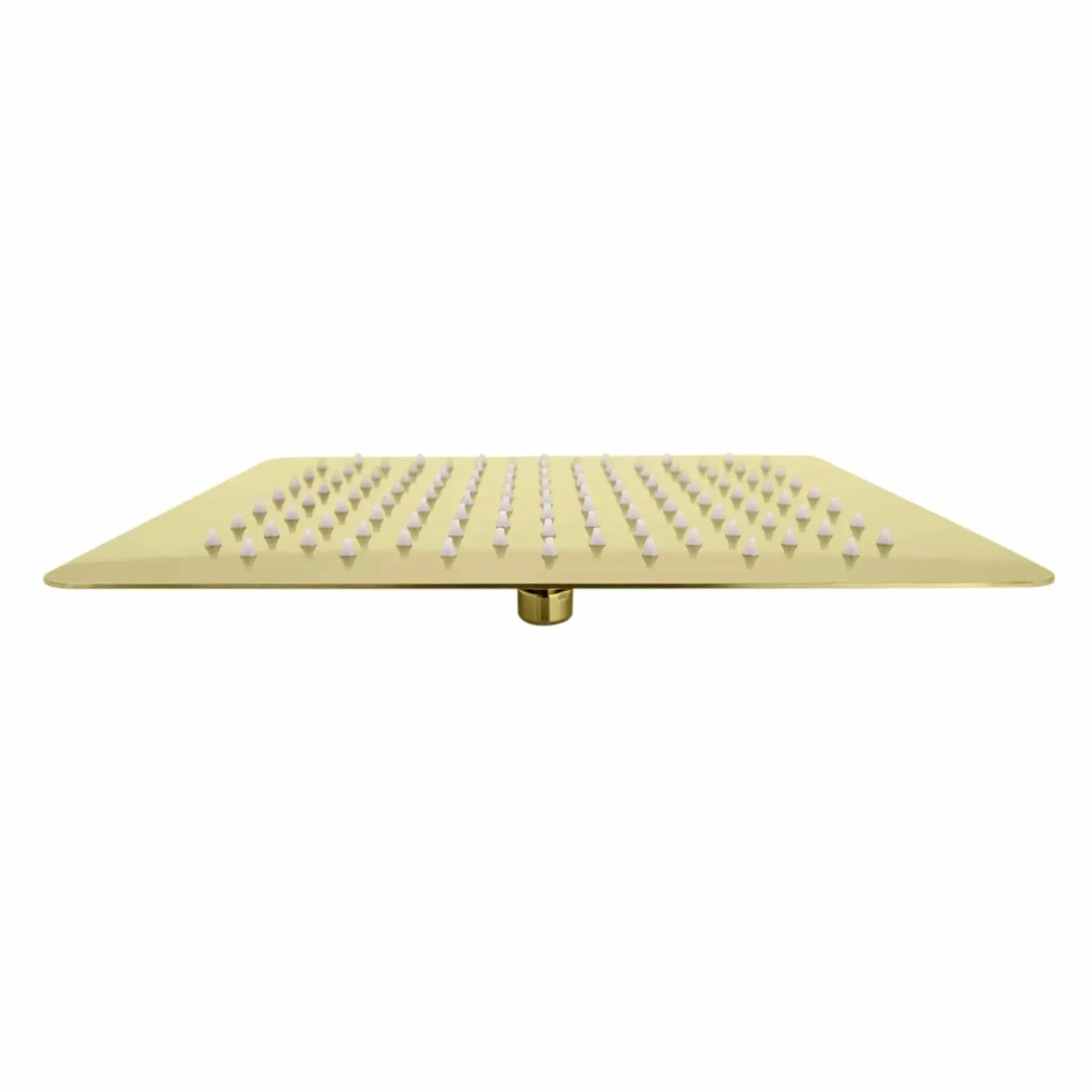ZLINE 12" Bliss Shower Head in Polished Gold BLS-H12-PG by Farmhouse Kitchen and Bath