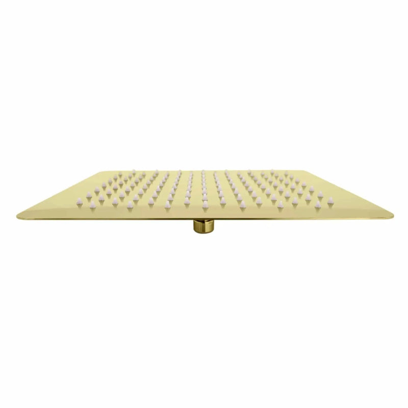 ZLINE 12" Bliss Shower Head in Polished Gold BLS-H12-PG by Farmhouse Kitchen and Bath