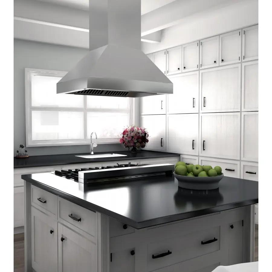 ZLINE 48" Remote Dual Blower Stainless Island Range Hood, 597i-RD-48 by Farmhouse Kitchen and Bath