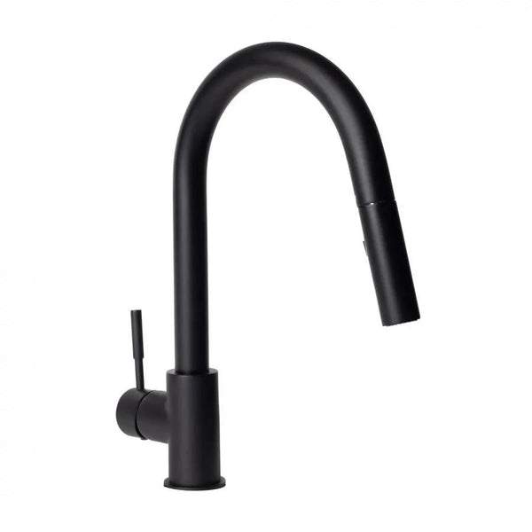 ZLINE Gemini Kitchen Faucet, GEM-KF-MB, photo 2 of 10