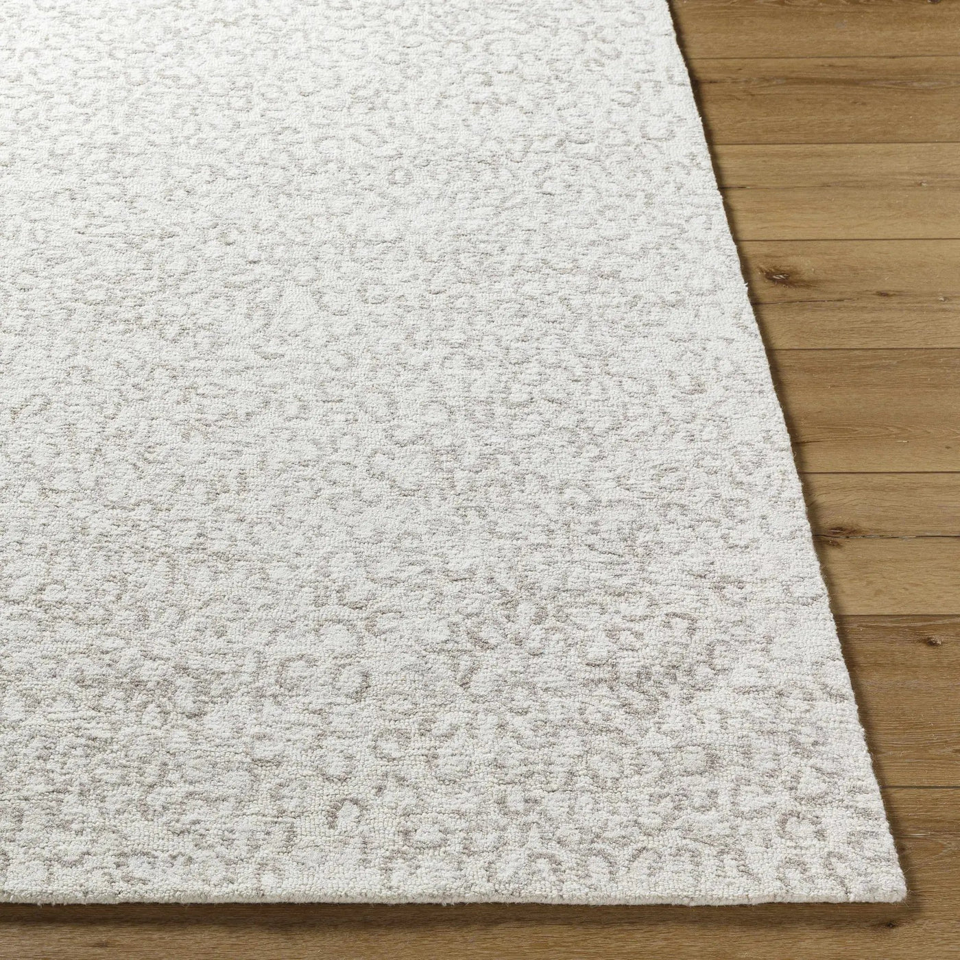 Zayit Area Rug by Boutique Rugs