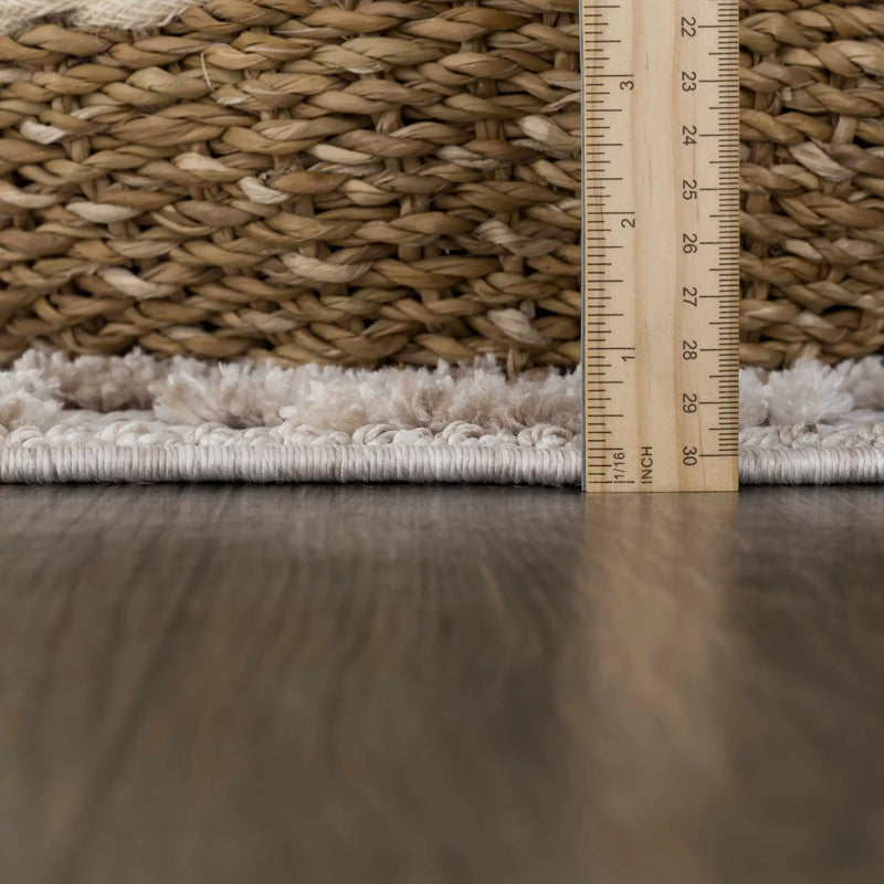 Poydras High-Low Rustic Rug by Boutique Rugs