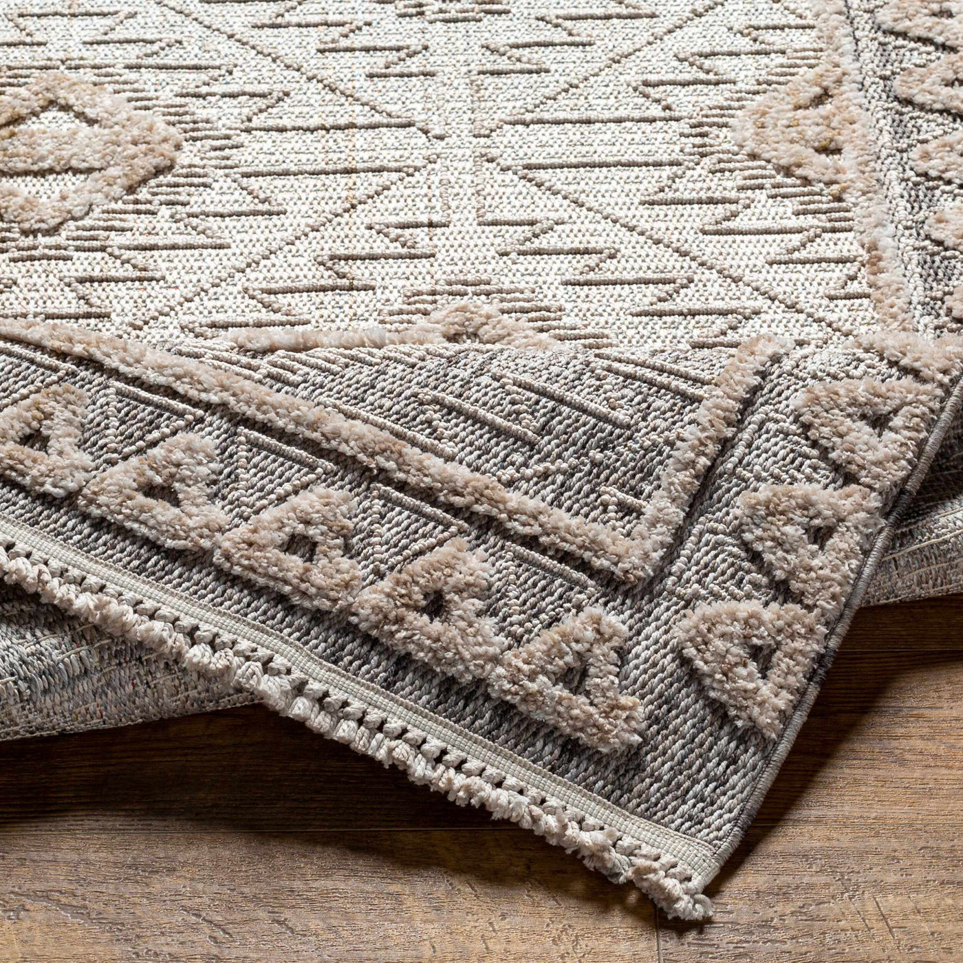 Agoo High-Low Pile Rustic Rug by Boutique Rugs