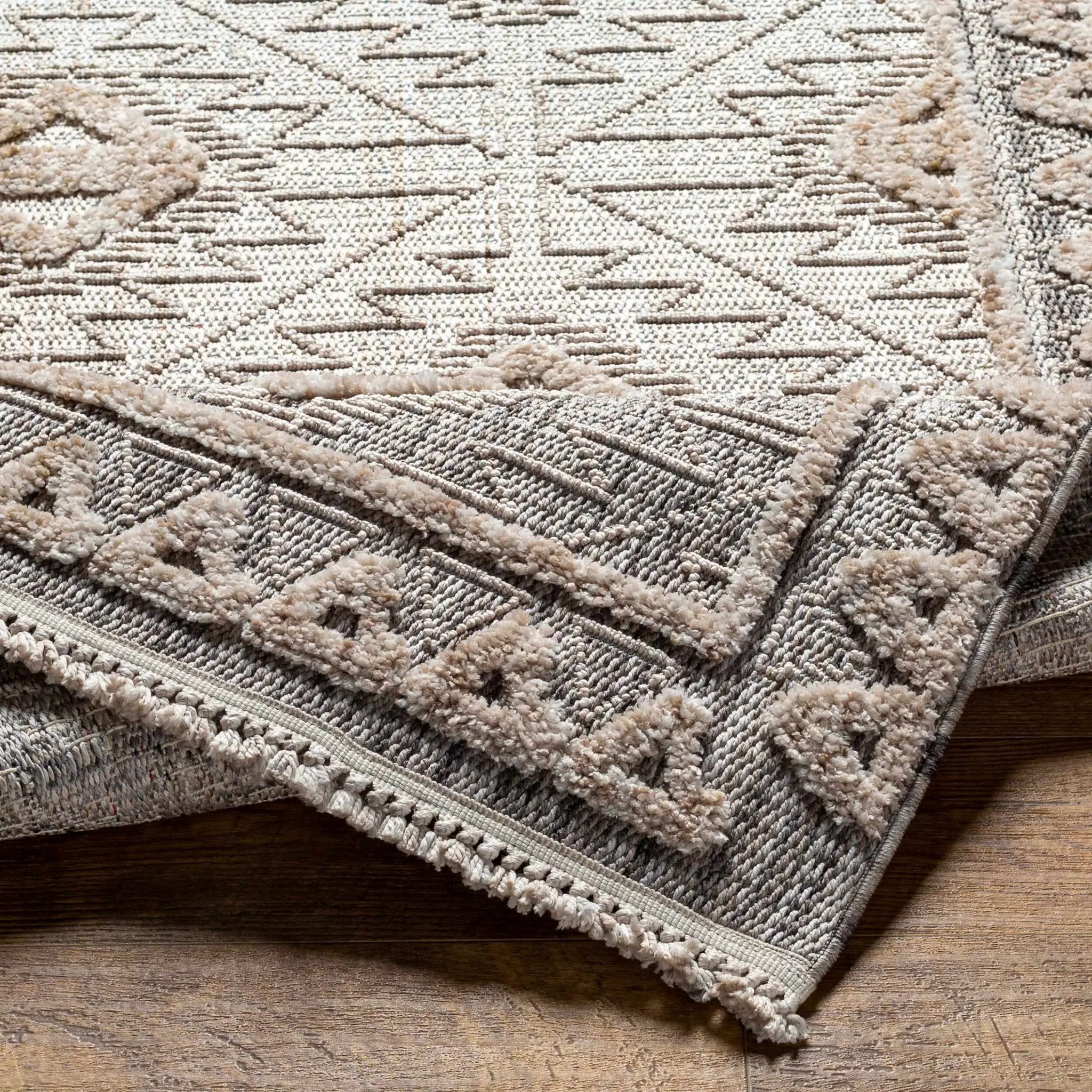 Agoo High-Low Pile Rustic Rug by Boutique Rugs