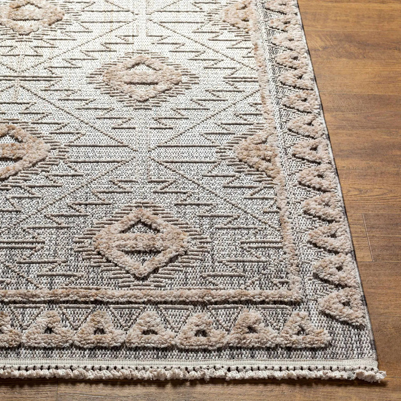 Agoo High-Low Pile Rustic Rug by Boutique Rugs