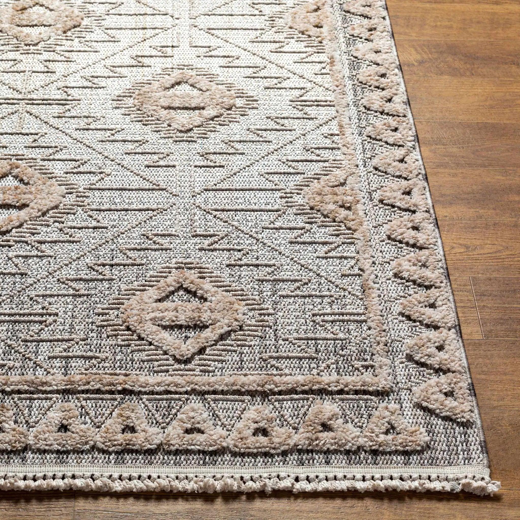 Agoo High-Low Pile Rustic Rug by Boutique Rugs