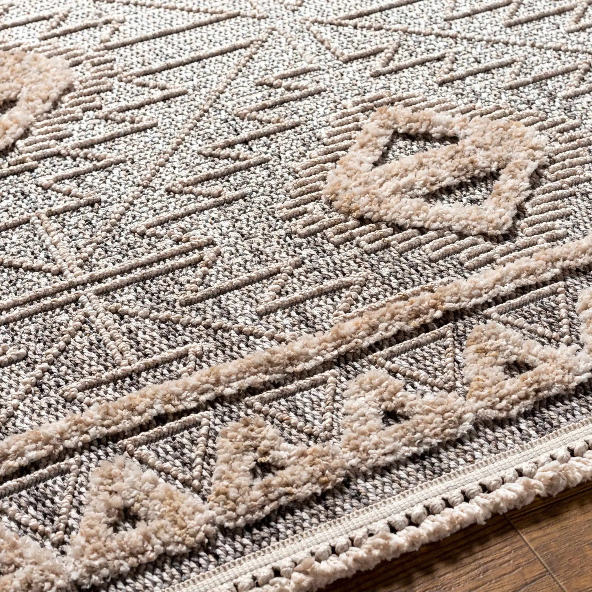 Agoo High-Low Pile Rustic Rug by Boutique Rugs