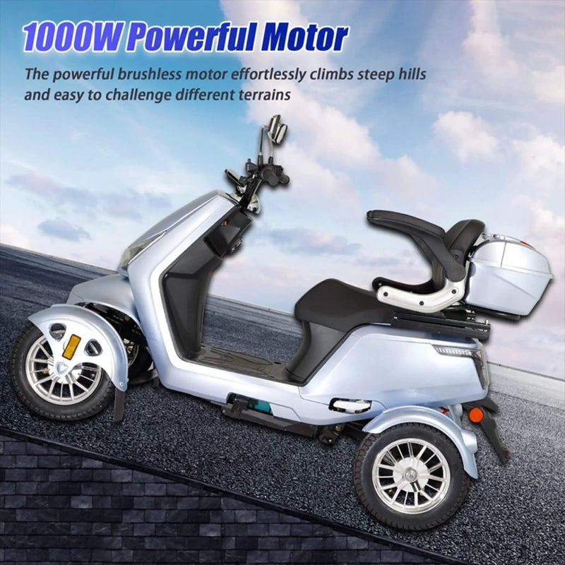 Zvg Heavy-Duty 1000W 60V/20AH Four Wheel All-Terrain Travel Mobility Scooter, 440LBS (SAK91645) by SAKSBY WHOLESALE