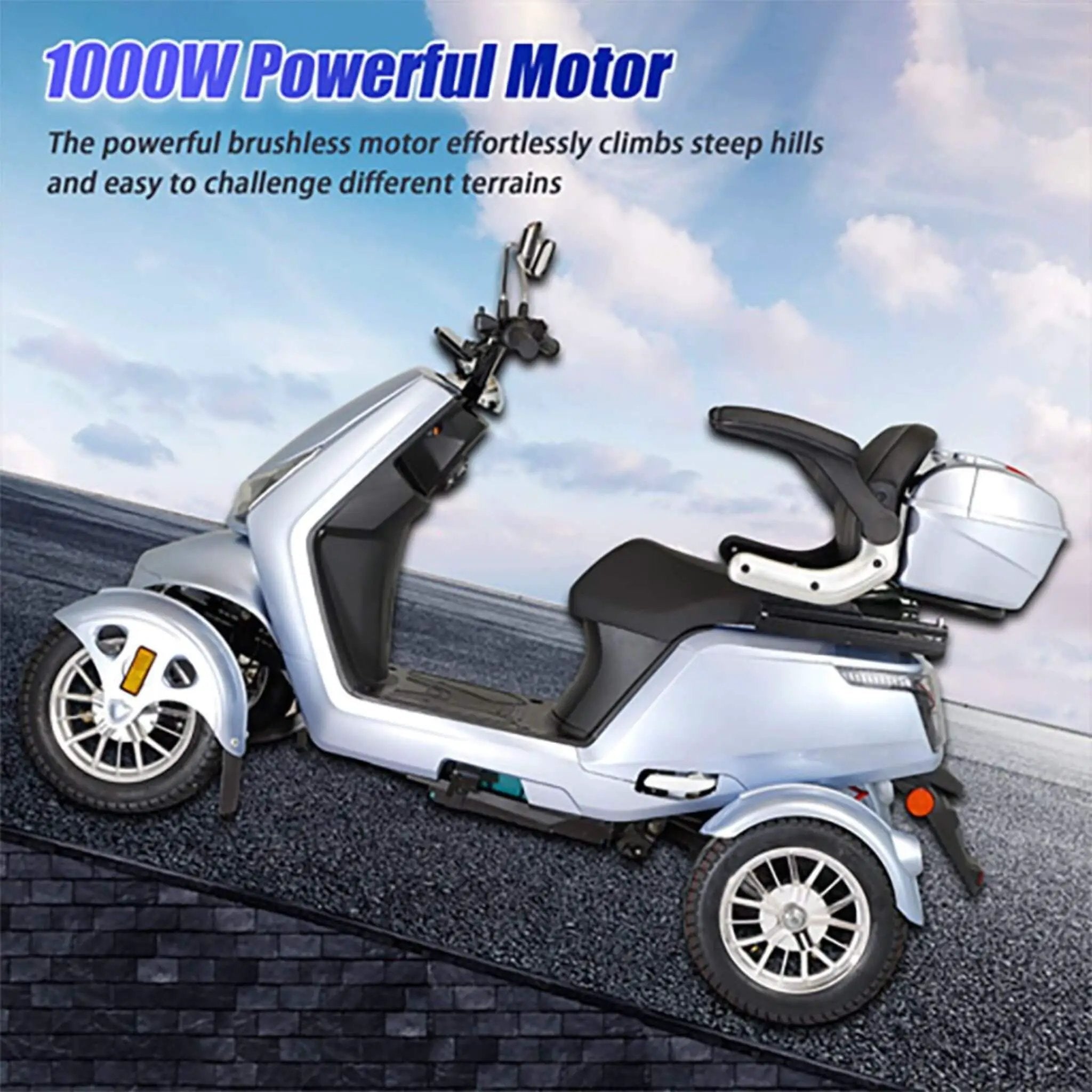 Zvg Heavy-Duty 1000W 60V/20AH 330LBS Four-Wheel All-Terrain Travel Mobility Scooter [SN-4L] (SAK97245) by SAKSBY WHOLESALE