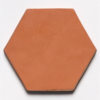 Artisana Matte Hexagon Terracotta Tile 6