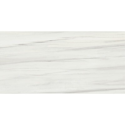 Carrara Zebrino Honed  Marble Look Porcelain Tile 24×48