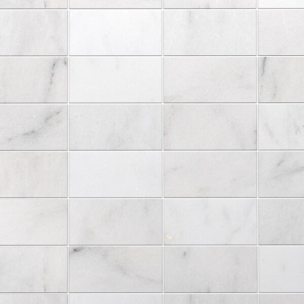 Calacatta T Honed  Marble Tile 6×12