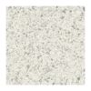 Terrazzo Look Porcelain Tiles